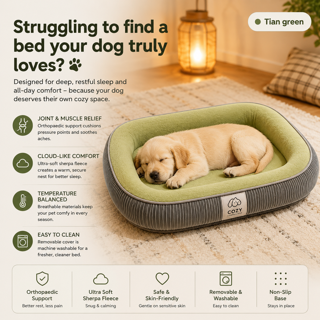 CozyNest Lounge Bed